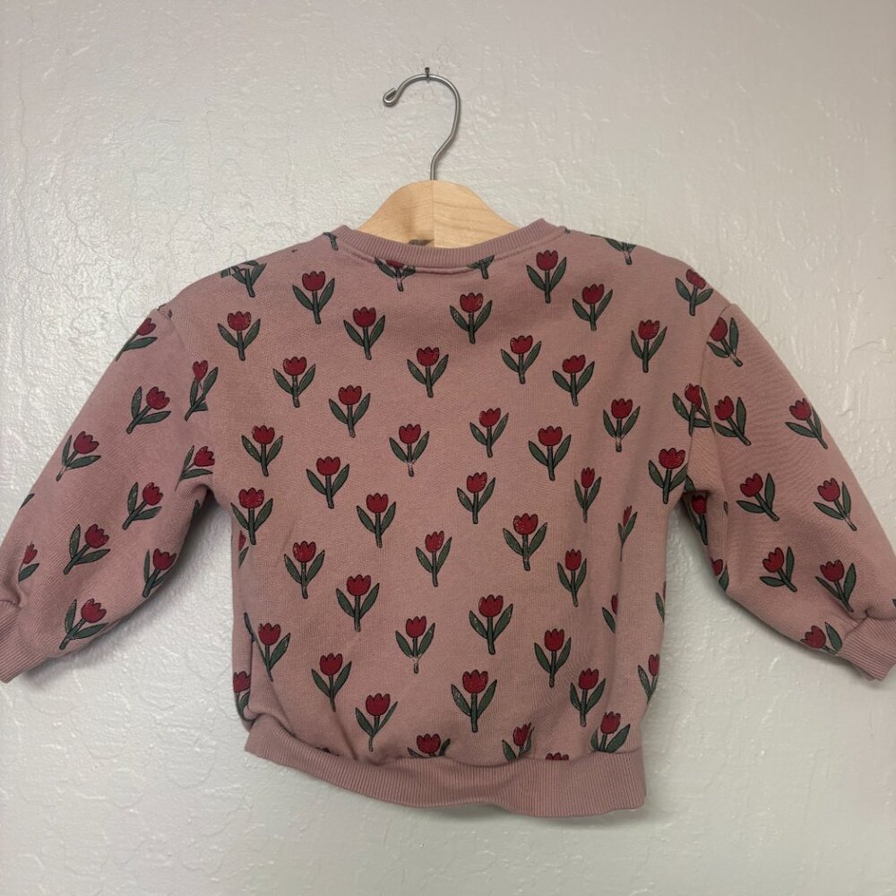$20 ADD ON Zara floral sweatshirt Janie and Jack Baby Gap Hanna Andersson - Picture 2 of 3